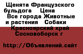 Щенята Французского бульдога. › Цена ­ 45 000 - Все города Животные и растения » Собаки   . Красноярский край,Сосновоборск г.